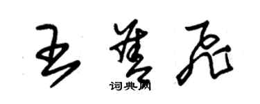 朱锡荣王善飞草书个性签名怎么写