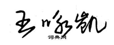 朱锡荣王咏凯草书个性签名怎么写