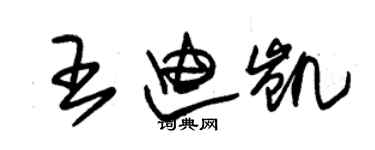 朱锡荣王迪凯草书个性签名怎么写