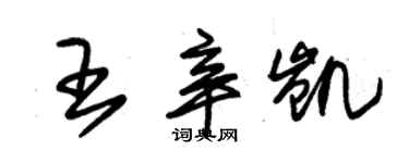 朱锡荣王辛凯草书个性签名怎么写