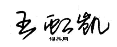 朱锡荣王虹凯草书个性签名怎么写
