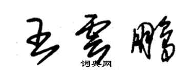 朱锡荣王云鹏草书个性签名怎么写