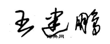 朱锡荣王建鹏草书个性签名怎么写