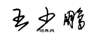 朱锡荣王少鹏草书个性签名怎么写