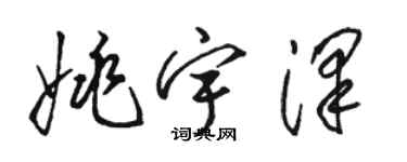 骆恒光姚宇泽草书个性签名怎么写