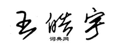 朱锡荣王皓宇草书个性签名怎么写