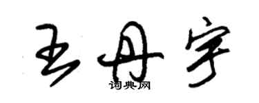 朱锡荣王丹宇草书个性签名怎么写