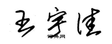朱锡荣王宇佳草书个性签名怎么写