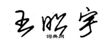 朱锡荣王昭宇草书个性签名怎么写