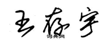 朱锡荣王存宇草书个性签名怎么写