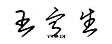 朱锡荣王宁生草书个性签名怎么写