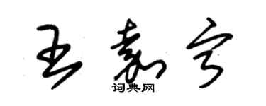 朱锡荣王嘉宁草书个性签名怎么写