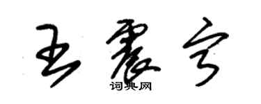 朱锡荣王震宁草书个性签名怎么写