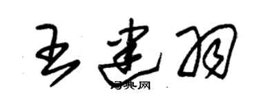 朱锡荣王建羽草书个性签名怎么写