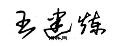 朱锡荣王建炼草书个性签名怎么写