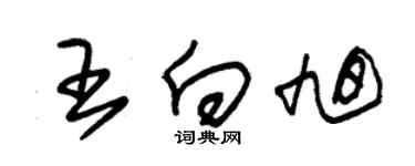 朱锡荣王向旭草书个性签名怎么写