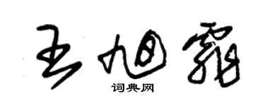 朱锡荣王旭霏草书个性签名怎么写