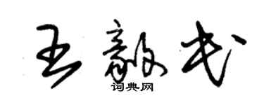 朱锡荣王毅民草书个性签名怎么写