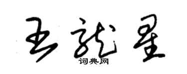 朱锡荣王龙星草书个性签名怎么写