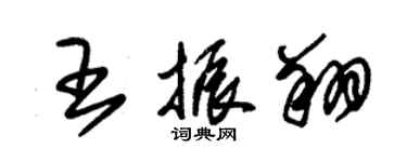 朱锡荣王振翔草书个性签名怎么写