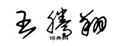 朱锡荣王腾翔草书个性签名怎么写