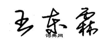 朱锡荣王东霖草书个性签名怎么写