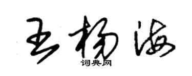 朱锡荣王杨海草书个性签名怎么写