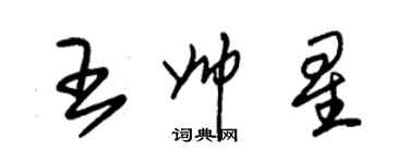 朱锡荣王帅星草书个性签名怎么写
