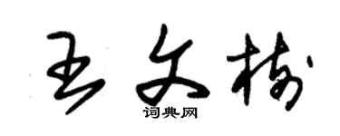 朱锡荣王文树草书个性签名怎么写