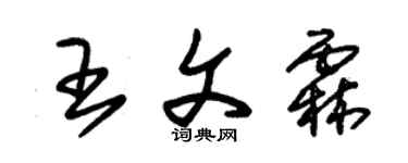 朱锡荣王文霖草书个性签名怎么写