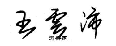 朱锡荣王云沛草书个性签名怎么写