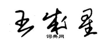 朱锡荣王成星草书个性签名怎么写