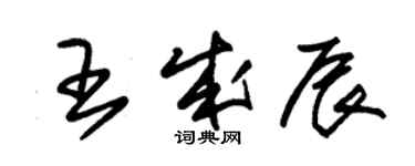朱锡荣王成辰草书个性签名怎么写