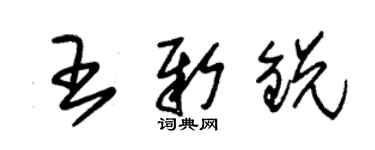 朱锡荣王新锐草书个性签名怎么写