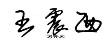 朱锡荣王震西草书个性签名怎么写