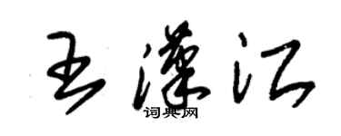 朱锡荣王汉江草书个性签名怎么写