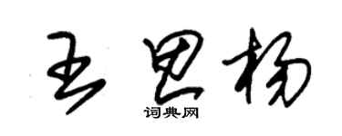 朱锡荣王思杨草书个性签名怎么写