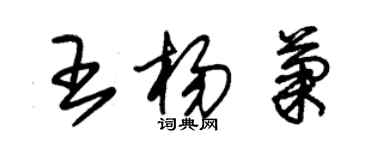 朱锡荣王杨菊草书个性签名怎么写