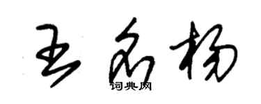 朱锡荣王名杨草书个性签名怎么写