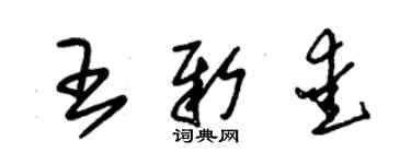 朱锡荣王新爱草书个性签名怎么写