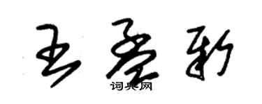 朱锡荣王孟新草书个性签名怎么写