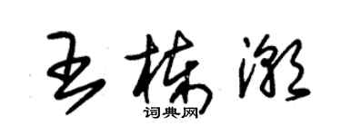 朱锡荣王栋潮草书个性签名怎么写