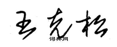 朱锡荣王克松草书个性签名怎么写