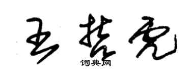 朱锡荣王哲虎草书个性签名怎么写