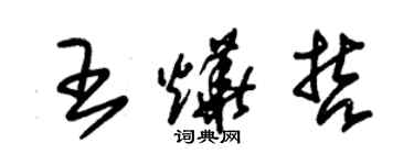 朱锡荣王烨哲草书个性签名怎么写