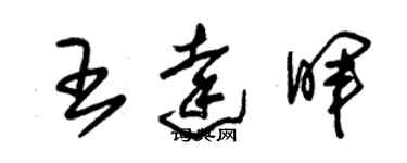 朱锡荣王达晖草书个性签名怎么写