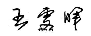 朱锡荣王雯晖草书个性签名怎么写