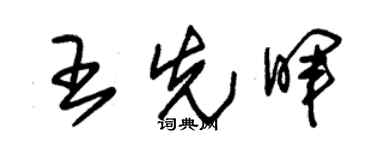 朱锡荣王先晖草书个性签名怎么写