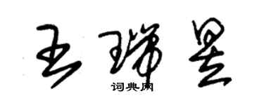 朱锡荣王瑞昱草书个性签名怎么写