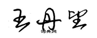 朱锡荣王丹望草书个性签名怎么写